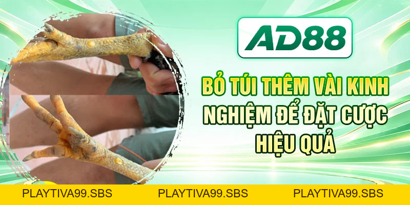 AD88 Footer Component (Light Mode) - PLAYTIVA99