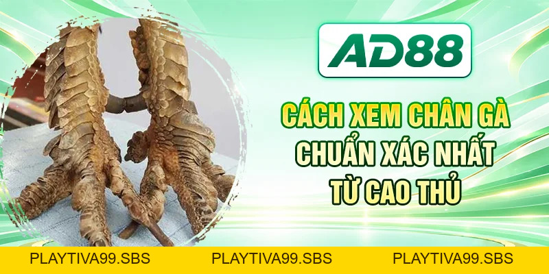 AD88 Footer Component (Light Mode) - PLAYTIVA99