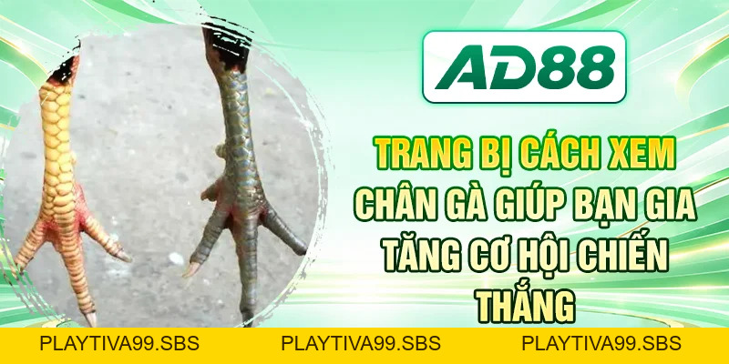 AD88 Footer Component (Light Mode) - PLAYTIVA99